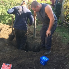 Team at work