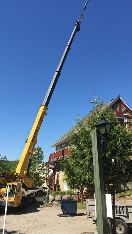 Tree removal