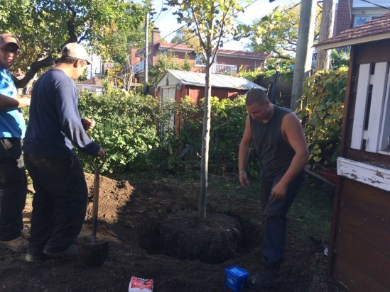 Fertilizing