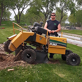 stump remover