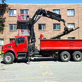 Truck crane