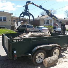 wood loader