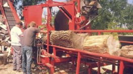 tree collecting